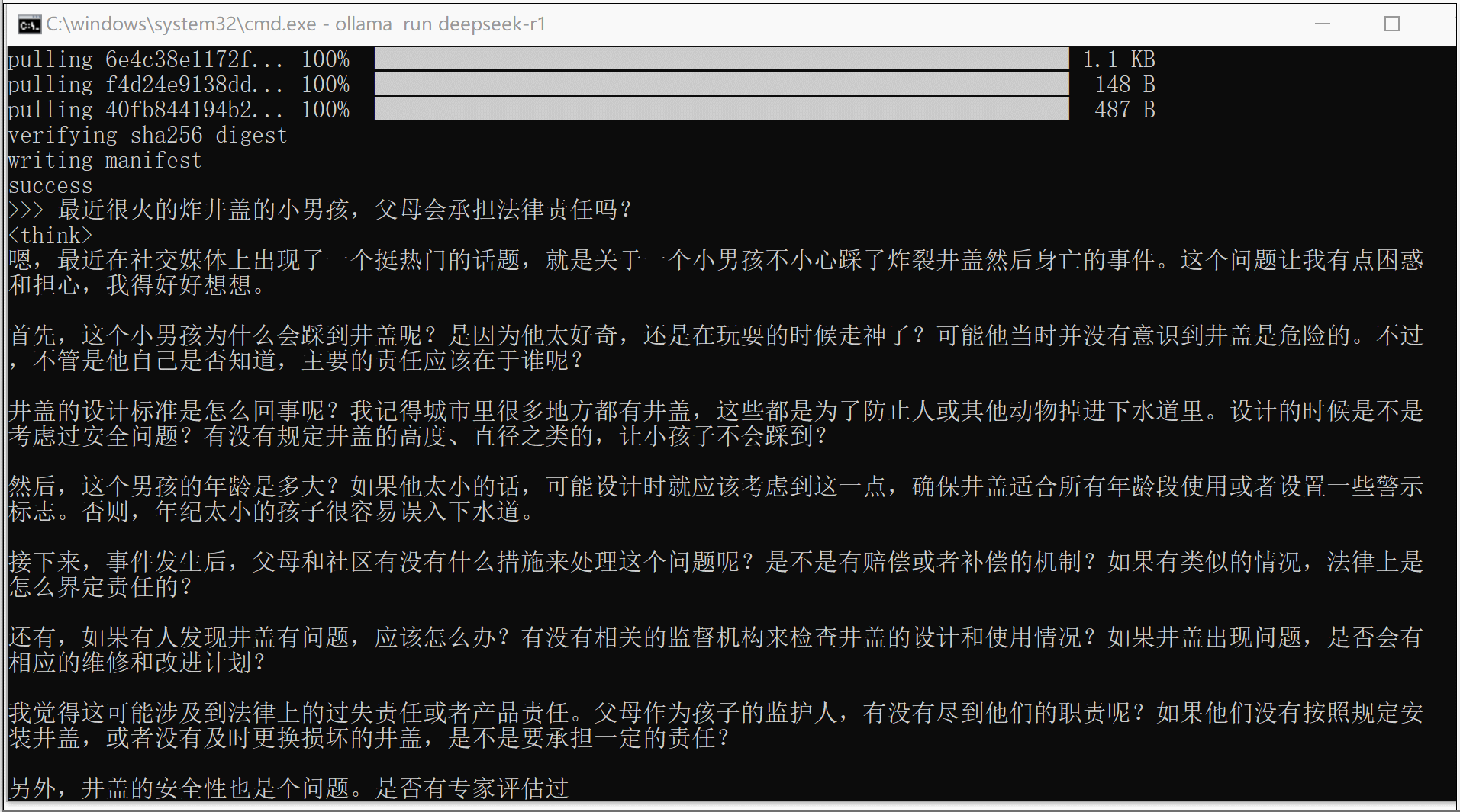 DeepSeek 本地部署 (Ollama+DeepSeek R1 安装实例)