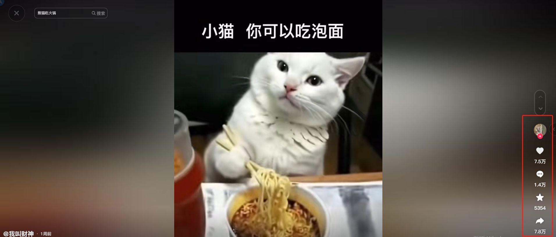 用AI生成动物吃泡面视频玩法火爆!抖音账号一条猫吃泡面获赞7.5W