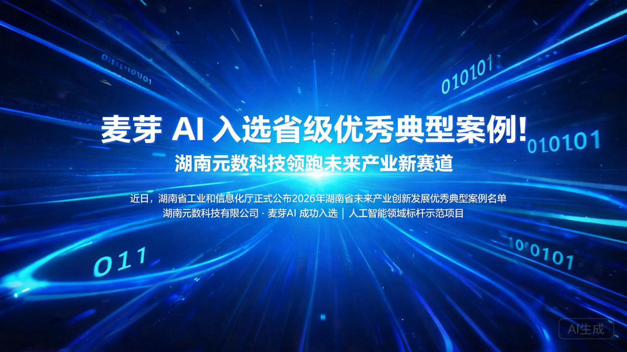 麦芽 AI 入选省级优秀典型案例！湖南元数科技领跑未来产业…